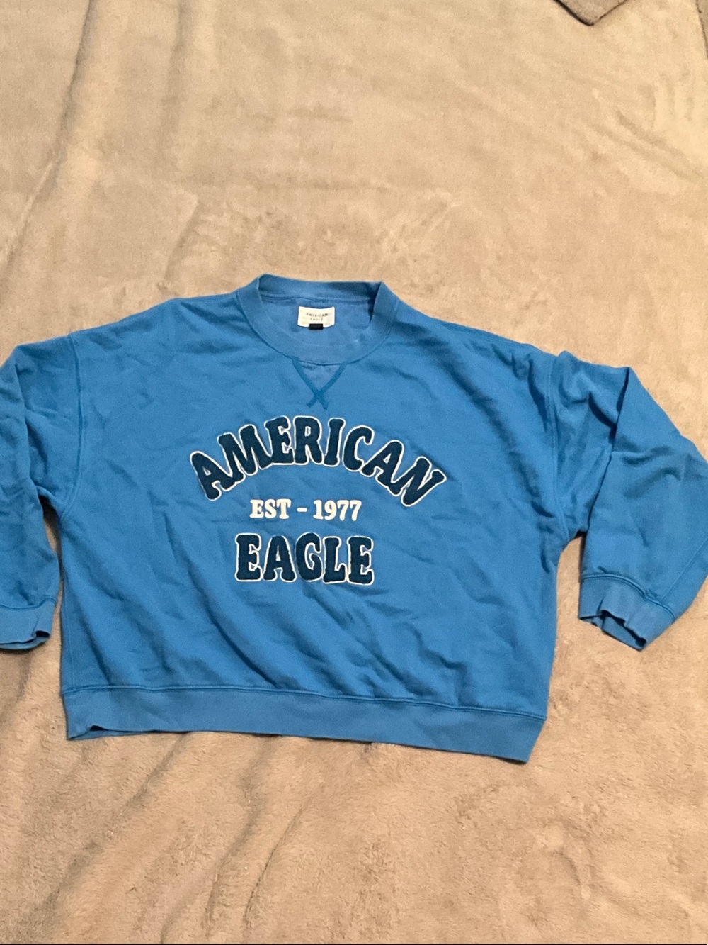 American Eagle Outfitters WOMENS Bright Blue Graphic Crewneck Sweatshirt